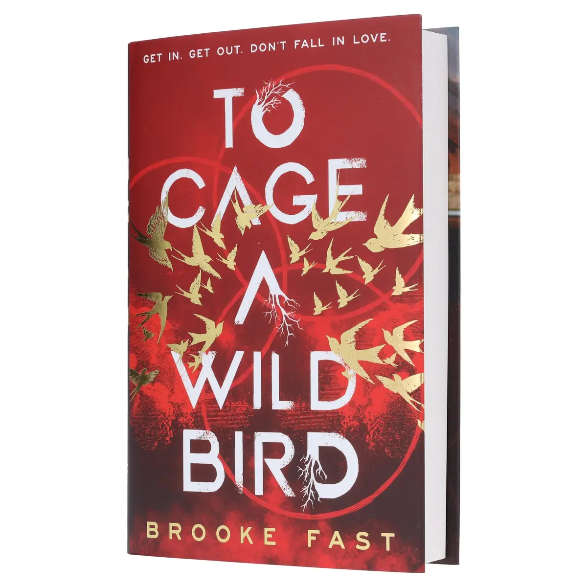 To Cage A Wild Bird By Brooke Fast (Divided Fates Series)- Fiction - Hardback 1