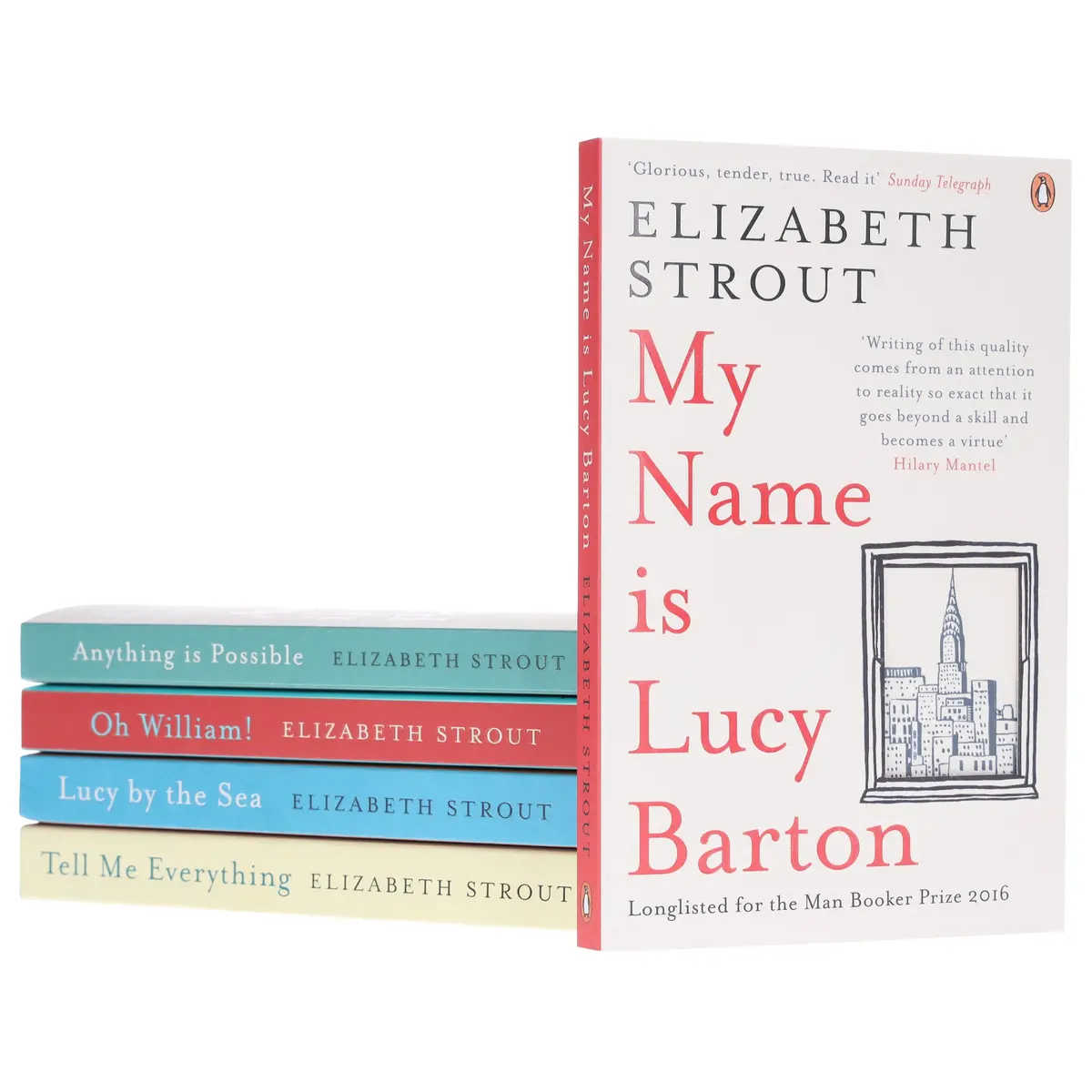 Damaged - Amgash Series By Elizabeth Strout 5 Books Collection Set - Fiction - Paperback - T 37 1