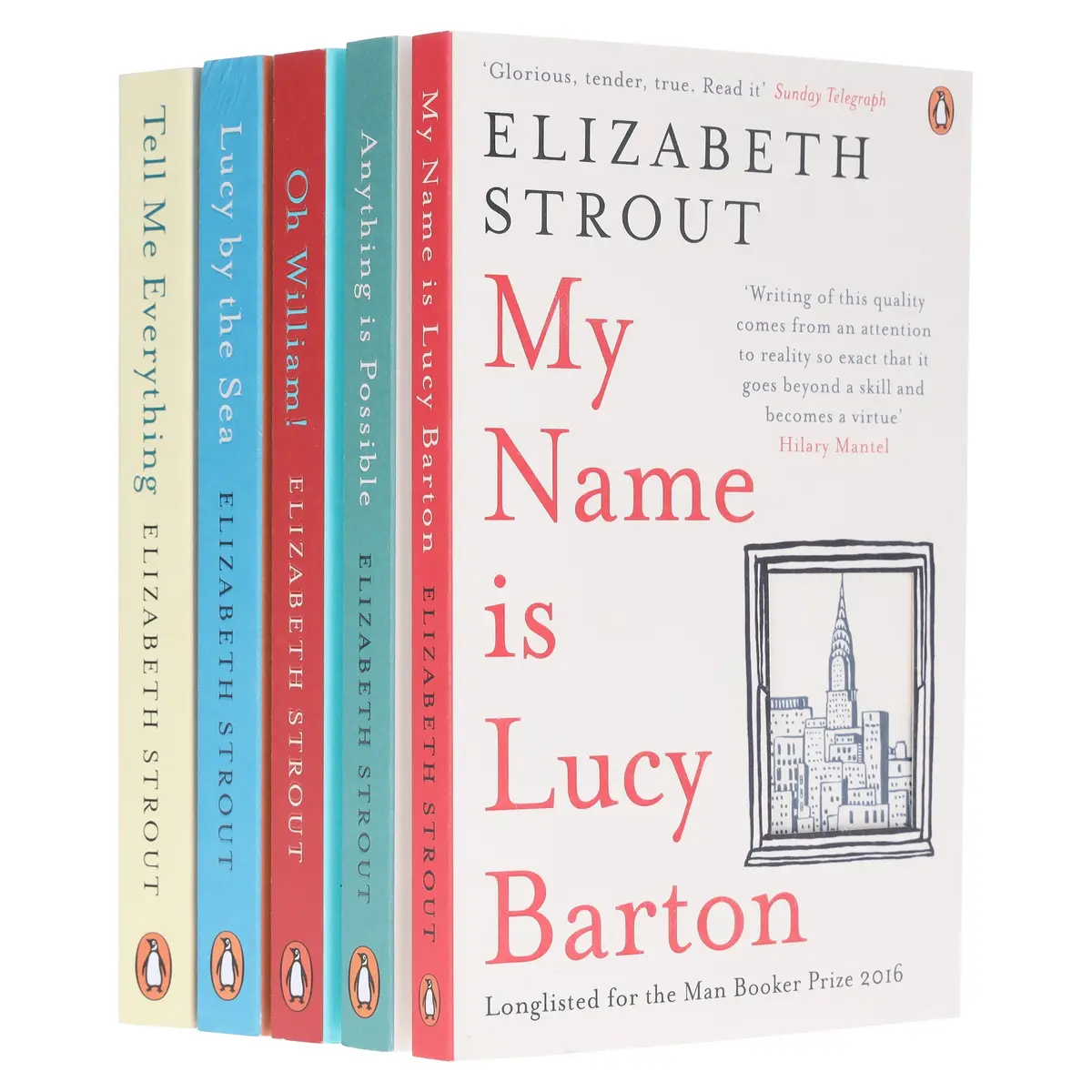 Amgash Series By Elizabeth Strout 5 Books Collection Set - Fiction - Paperback 1