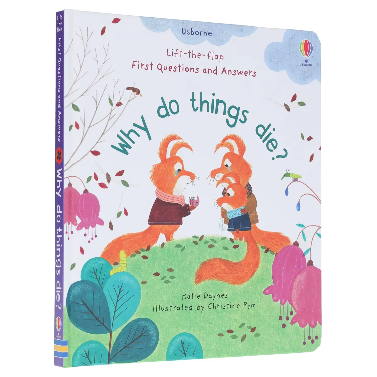 Why Do Things Die? (Usborne: Lift The Flap First Questions & Answers) - Ages 4+ - Board Book 1