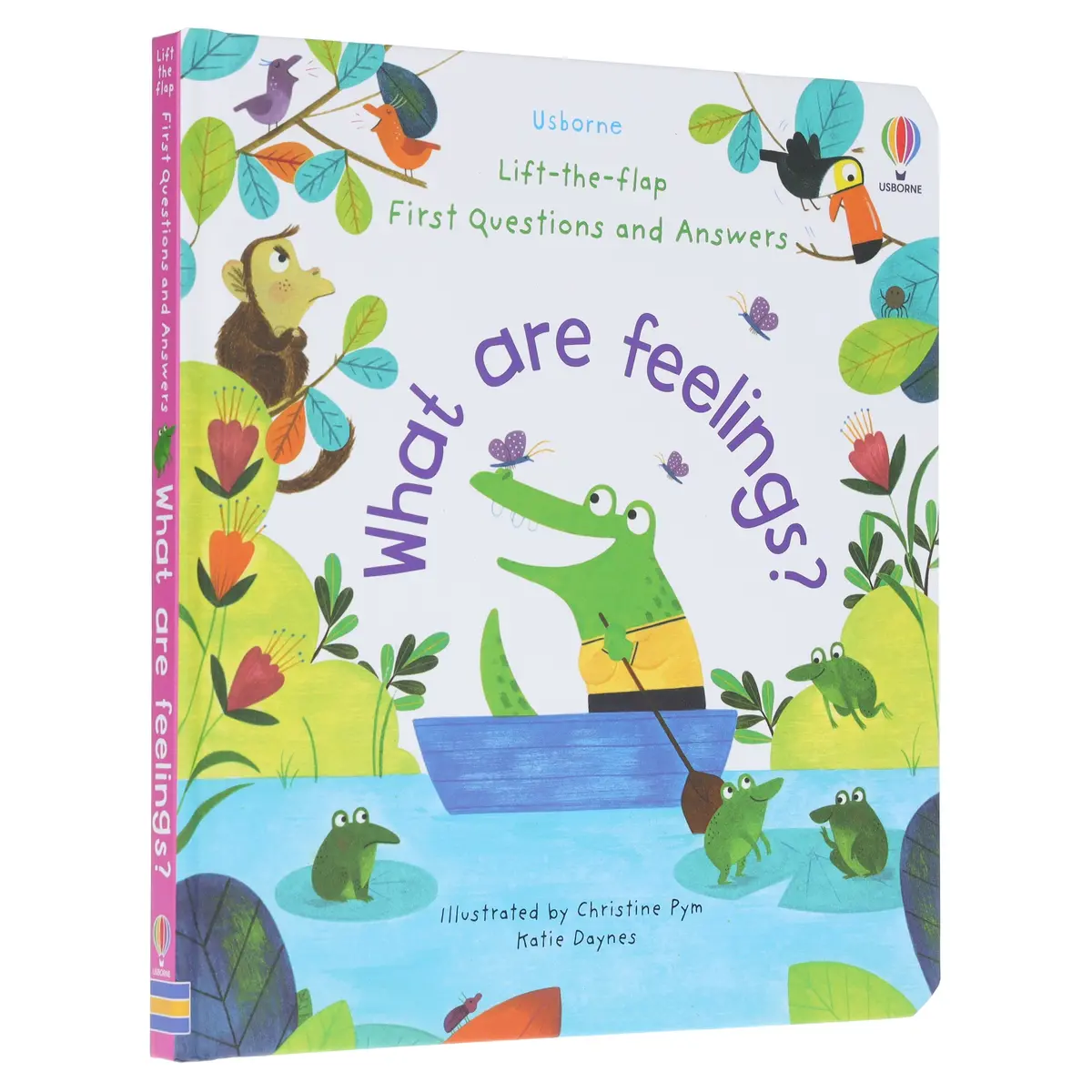 What Are Feelings? (Usborne: Lift-The-Flap First Questions & Answers) - Ages 4+ - Board Book 1