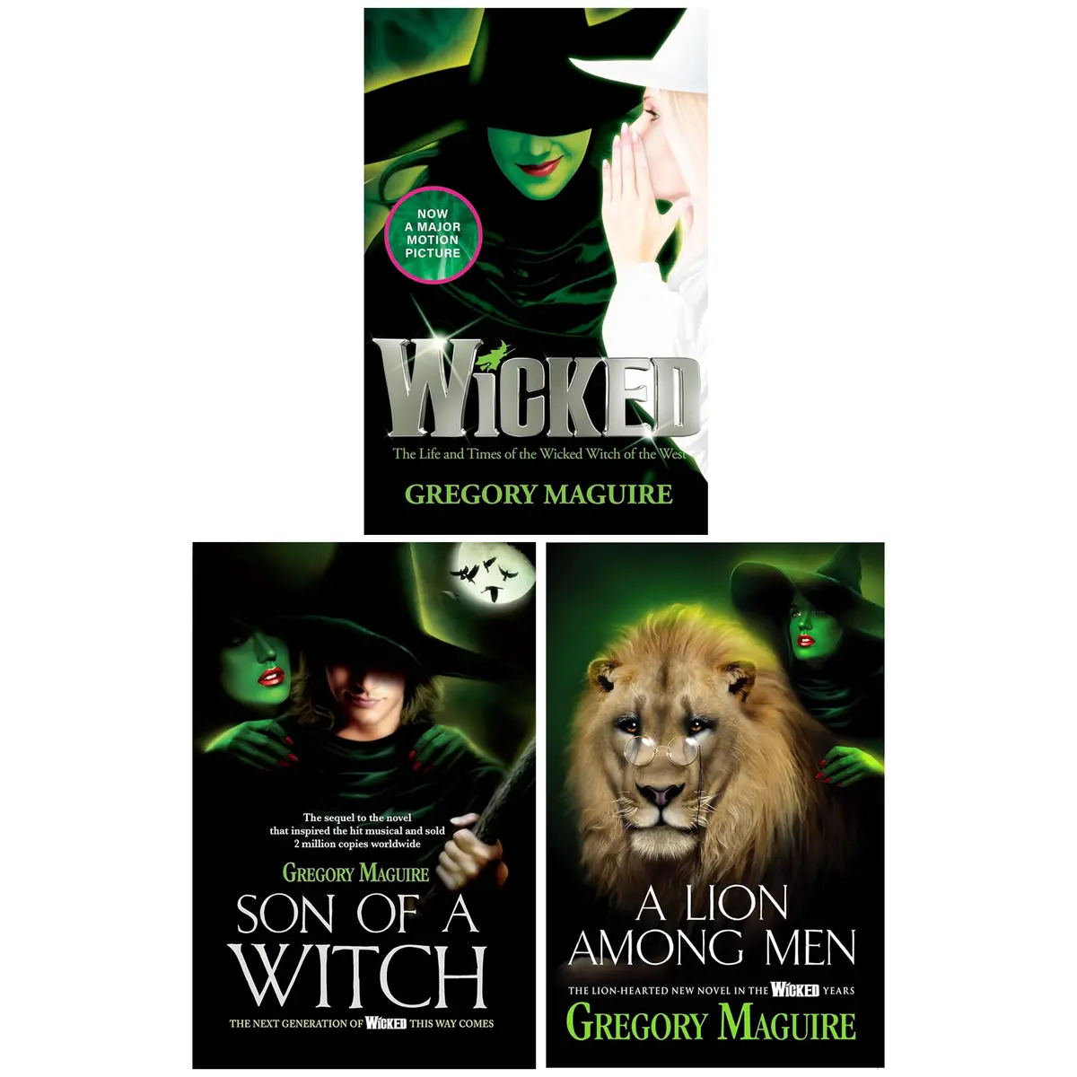 Wicked Years Series By Gregory Maguire 3 Books Collection Set - Fiction - Paperback 1