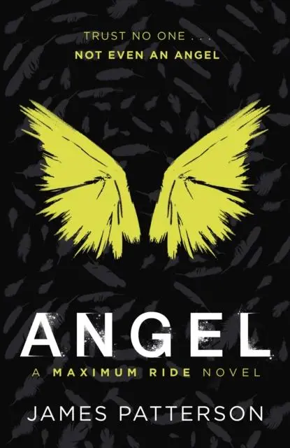 Angel: A Maximum Ride Novel : (Maximum Ride 7) 1