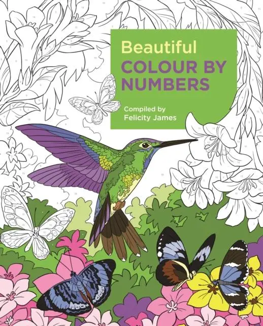 Beautiful Colour By Numbers 1