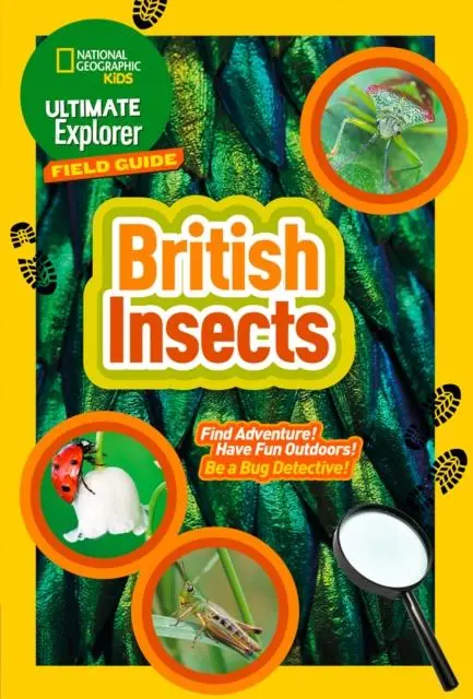 British Insects : Find Adventure! Have Fun Outdoors! Be A Bug Detective! 1