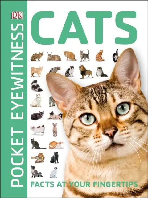 Cats : Facts At Your Fingertips 1