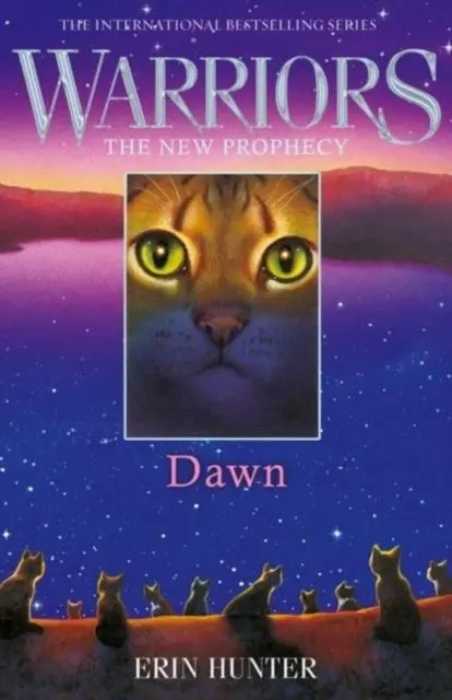 Warrior Cats By Erin Hunter: Series: Dawn 1