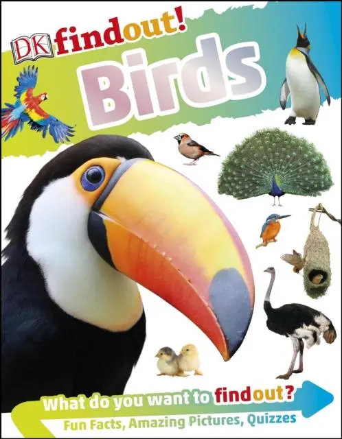 Dkfindout! Birds 1