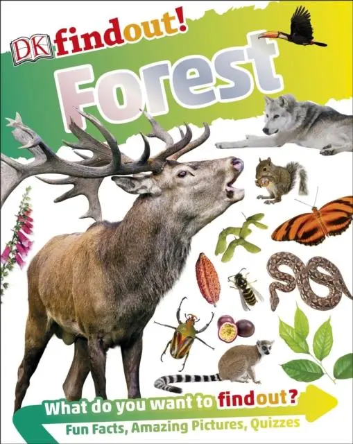 Dkfindout! Forest 1