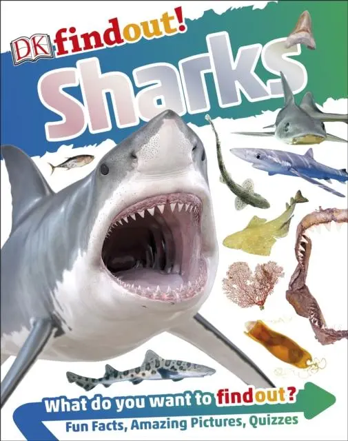 Dkfindout! Sharks 1
