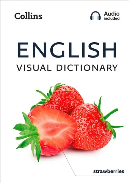 English Visual Dictionary : A Photo Guide To Everyday Words And Phrases In English 1