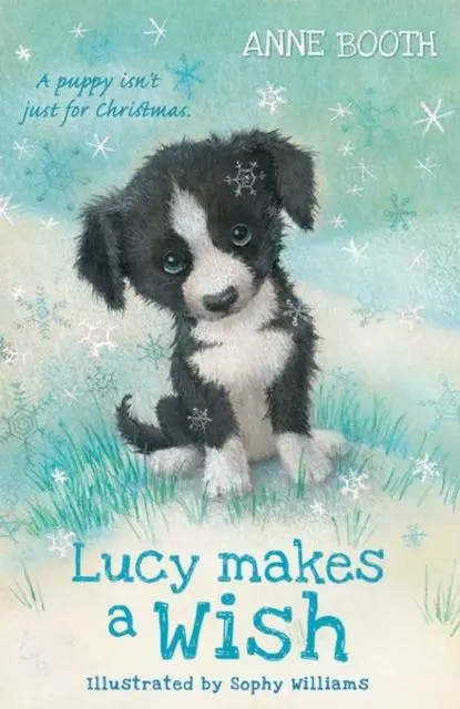 Lucy Makes A Wish 1