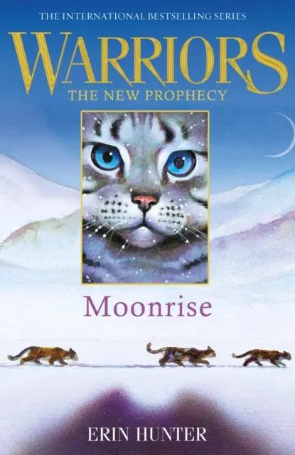 Warrior Cats By Erin Hunter: Series: Moonrise 1