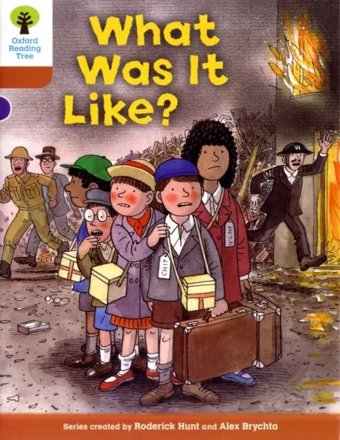 Oxford Reading Tree: Level 8: More Stories: What Was It Like? 1