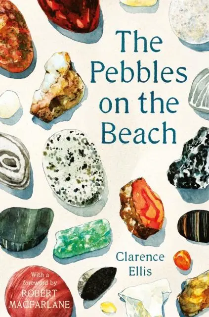 The Pebbles On The Beach 1