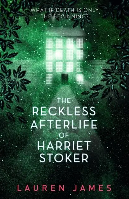 The Reckless Afterlife Of Harriet Stoker 1