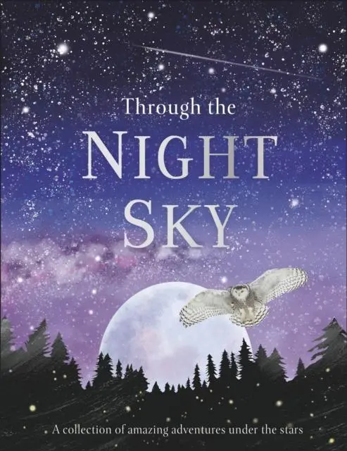 Through The Night Sky : A Collection Of Amazing Adventures Under The Stars 1
