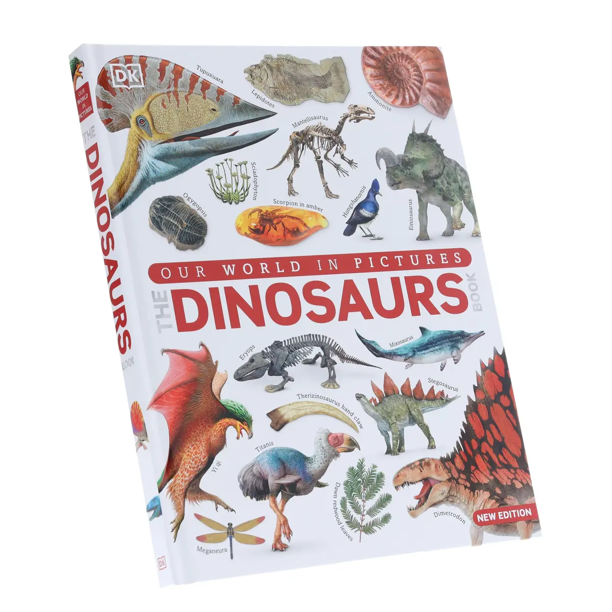 Our World In Pictures: The Dinosaurs Book By Dk - Ages 9-12 - Hardback 1