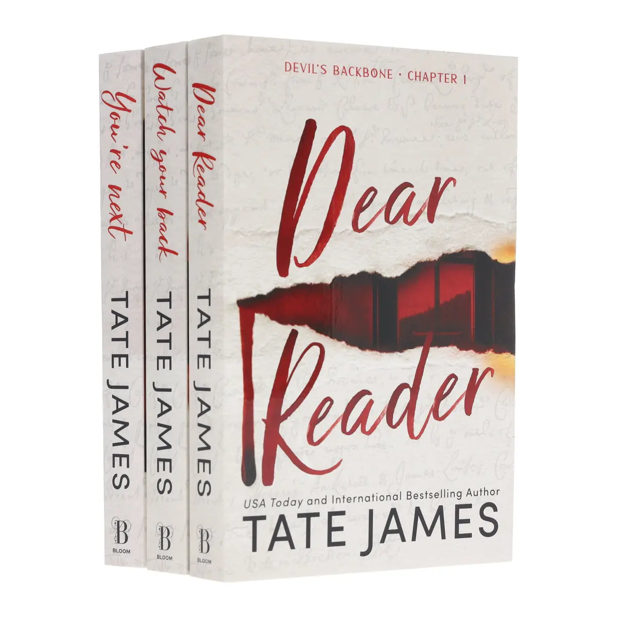 Devil's Backbone Series By Tate James 3 Books Collection Set - Fiction - Paperback 1