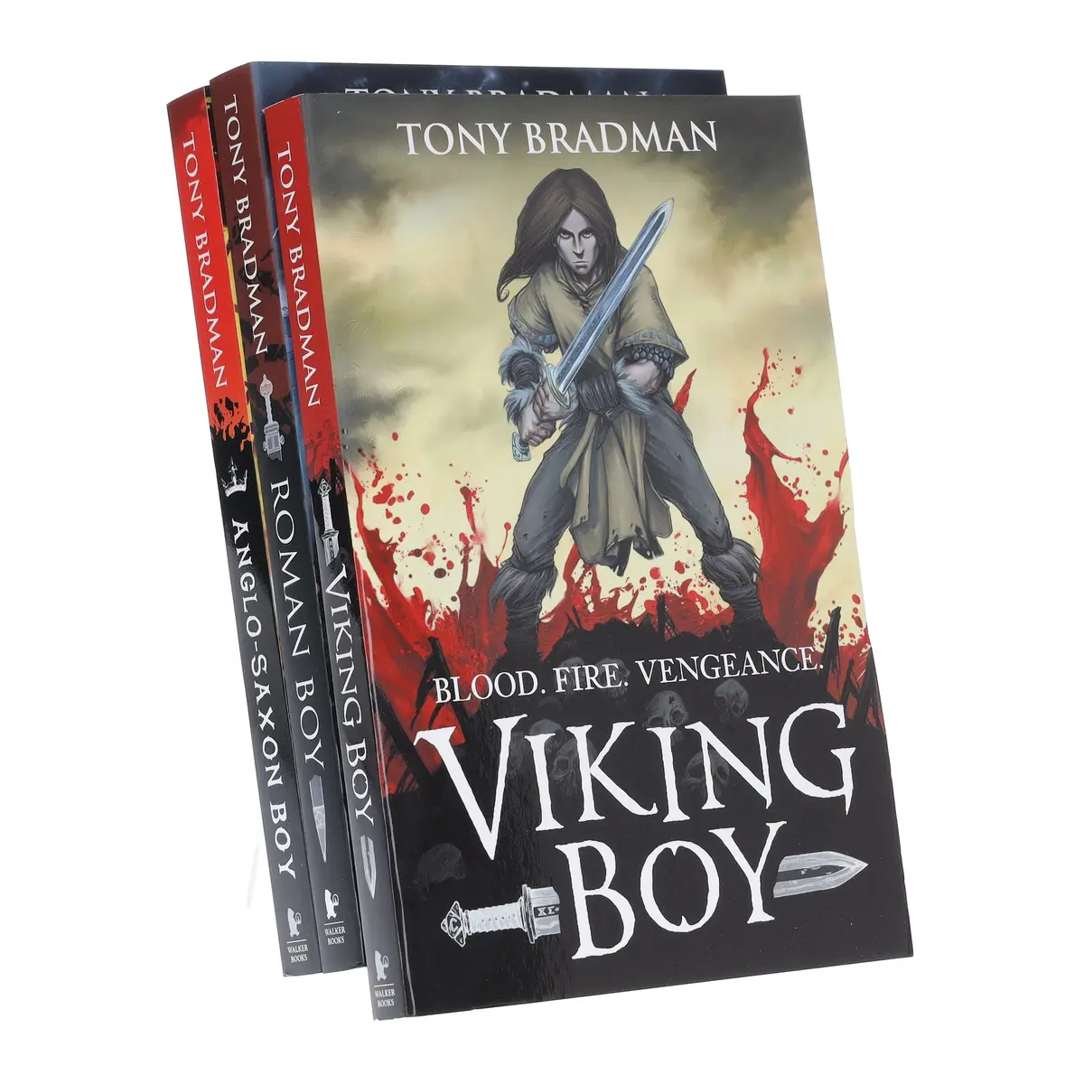 Viking Boy Series By Tony Bradman Illustrated 3 Books Collection Set - Ages 9-12 - Paperback 1