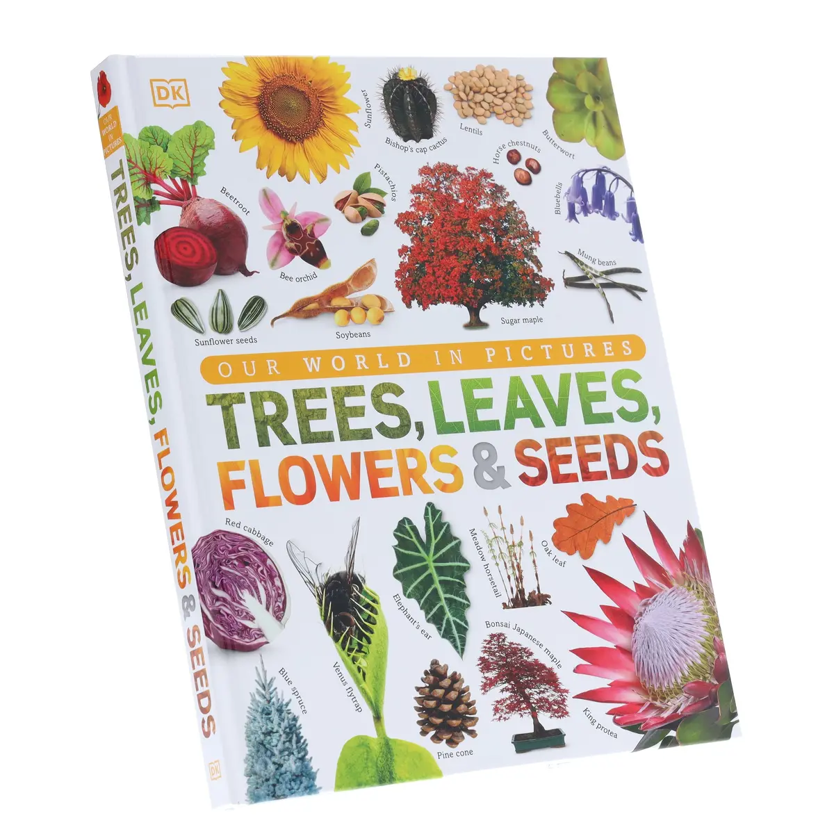 Our World In Pictures: Trees, Leaves, Flowers & Seeds: A Visual Encyclopedia Of The Plant Kingdom By Dk - Non Fiction - Hardback 1