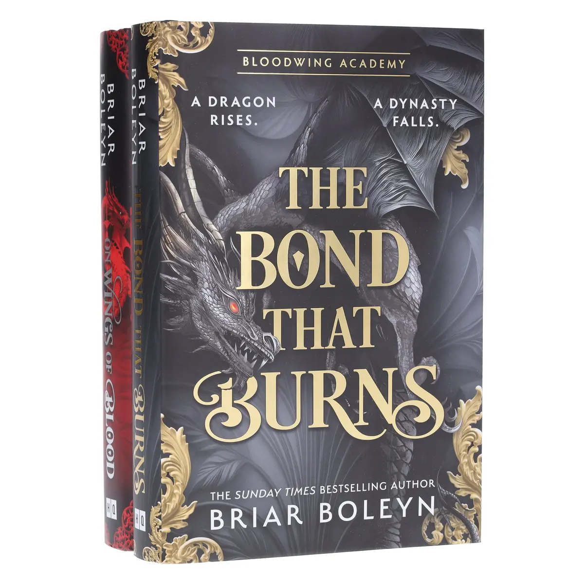 Bloodwing Academy Series By Briar Boleyn 2 Books Collection Set - Fiction - Hardback 1