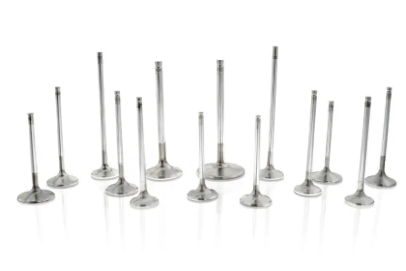 Ferrea Performance Exhaust Valves – B58 3.0L Toyota Supra, 28Mm Stem, 99.8Mm Head, 21° Angle, 12-Piece Set 1